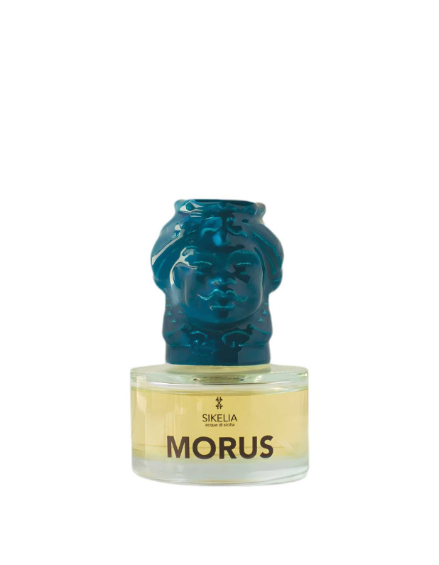 Morus Edp